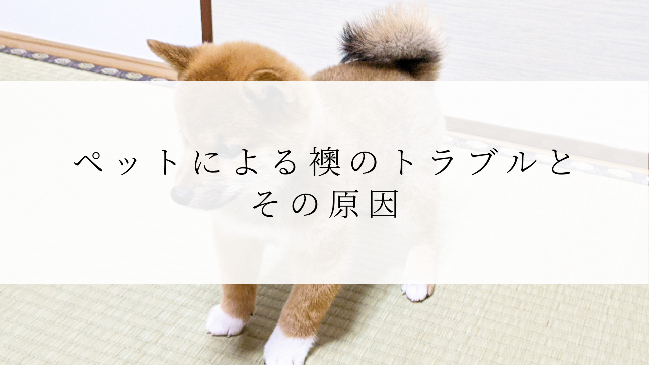 ペットによる襖のトラブルとその原因